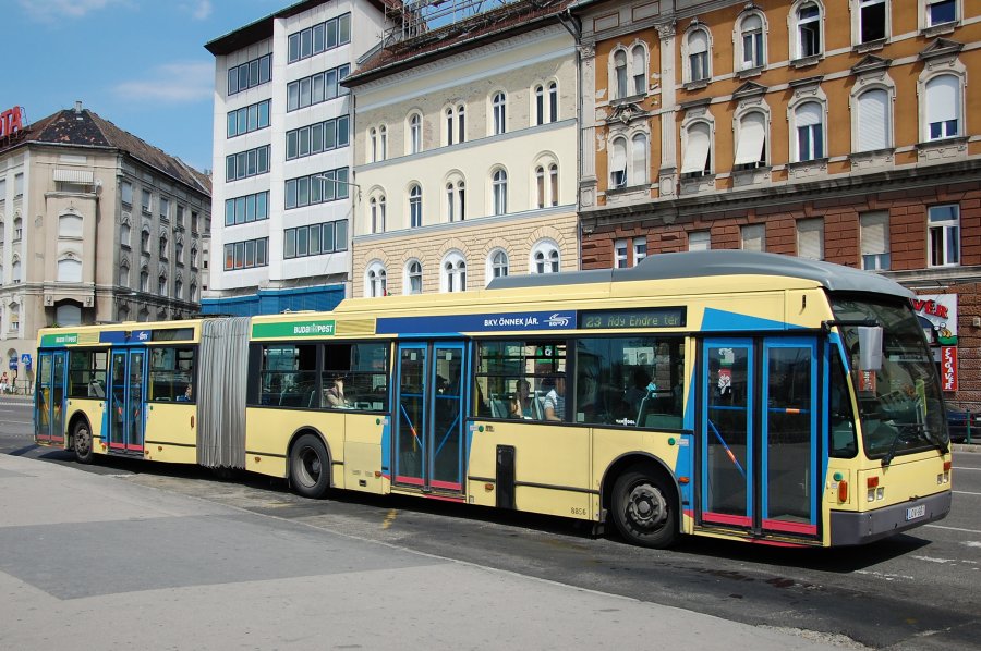 LOV-881