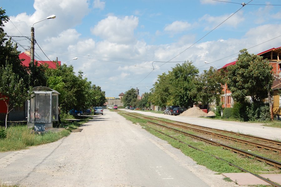 Haţegului