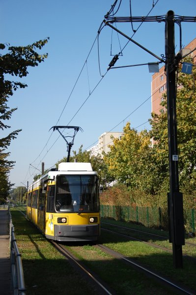 2006
