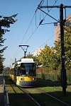 2006