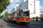 219 482-1