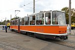 219 482-1