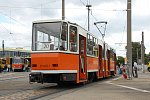 219 482-1