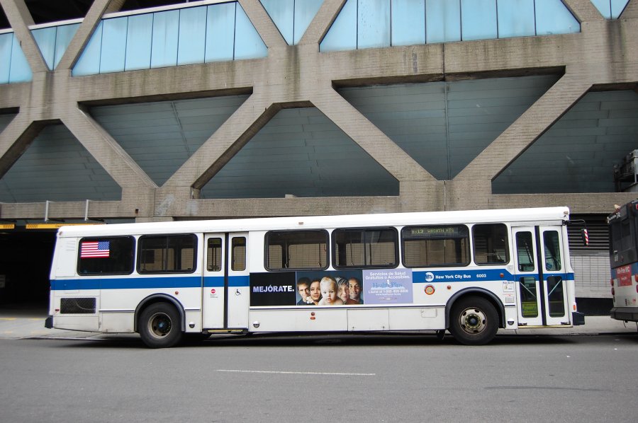 6003