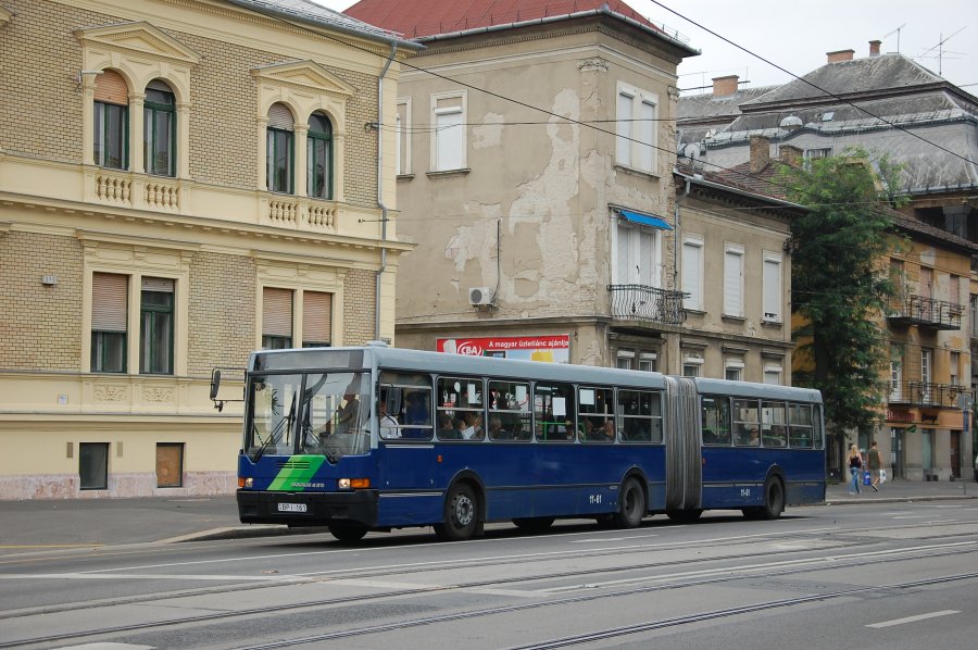 11-61