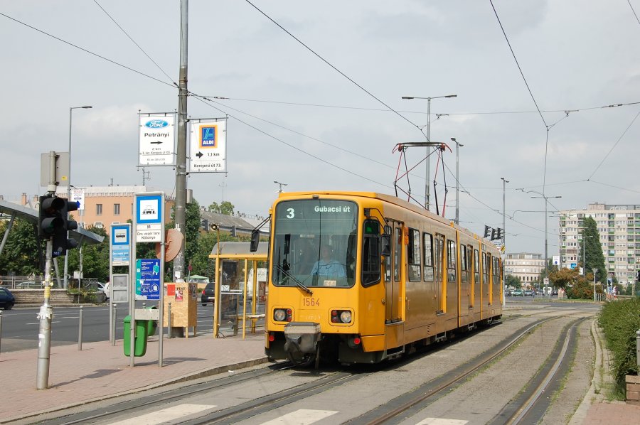 1564