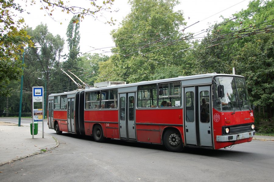 248