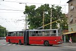 261