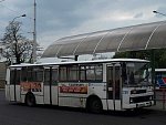 239