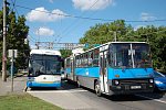 GMY-383