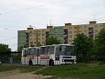 239