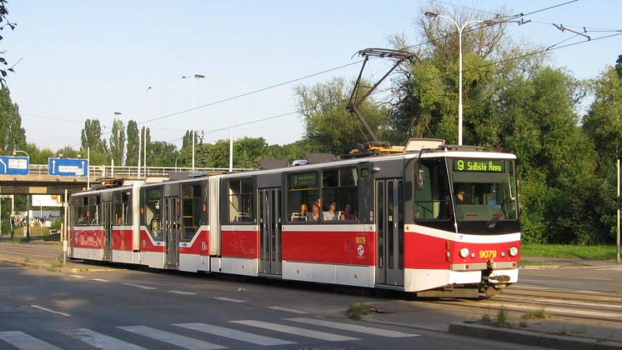 9079