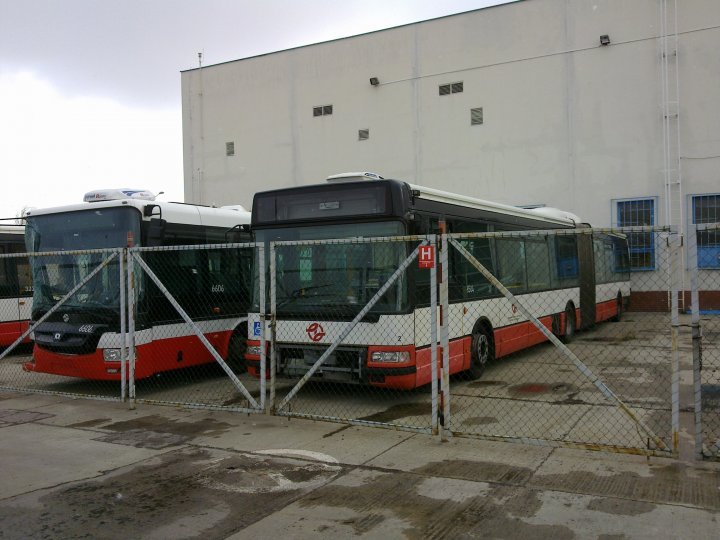 6504