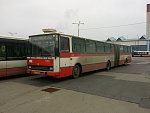 6066