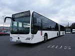 231