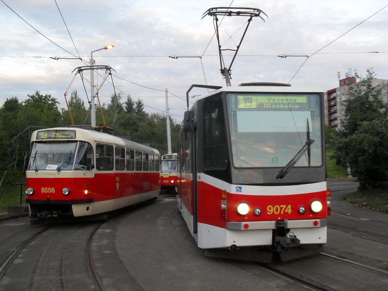 9074