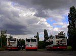 3204+3029