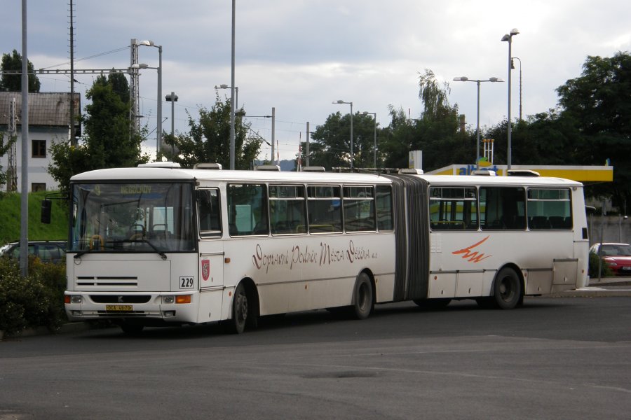229