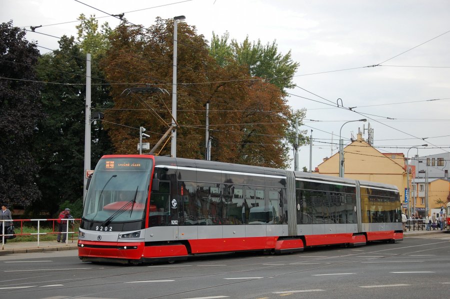9202