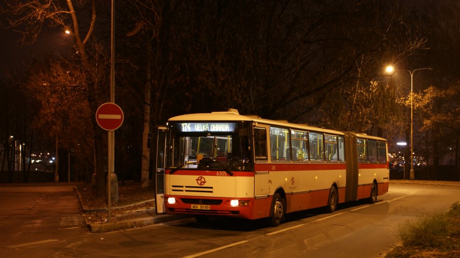 6305