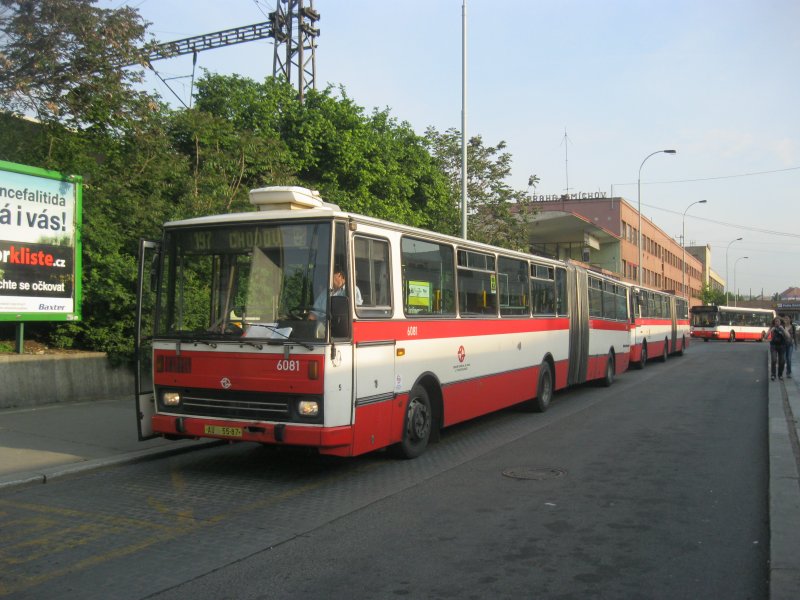 6081