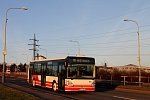 1029