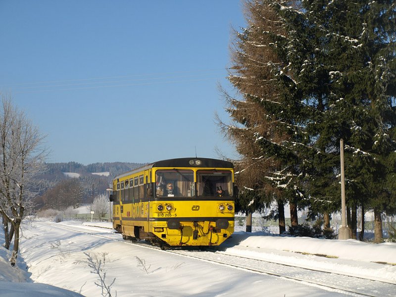 810 205-5