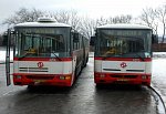 6254+6252