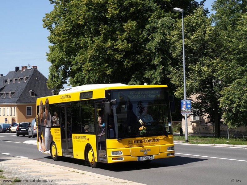35-8010