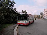 516