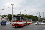 6251
