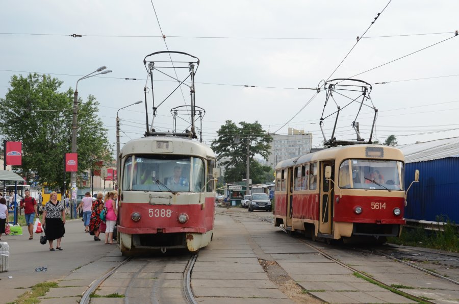 5388+5614