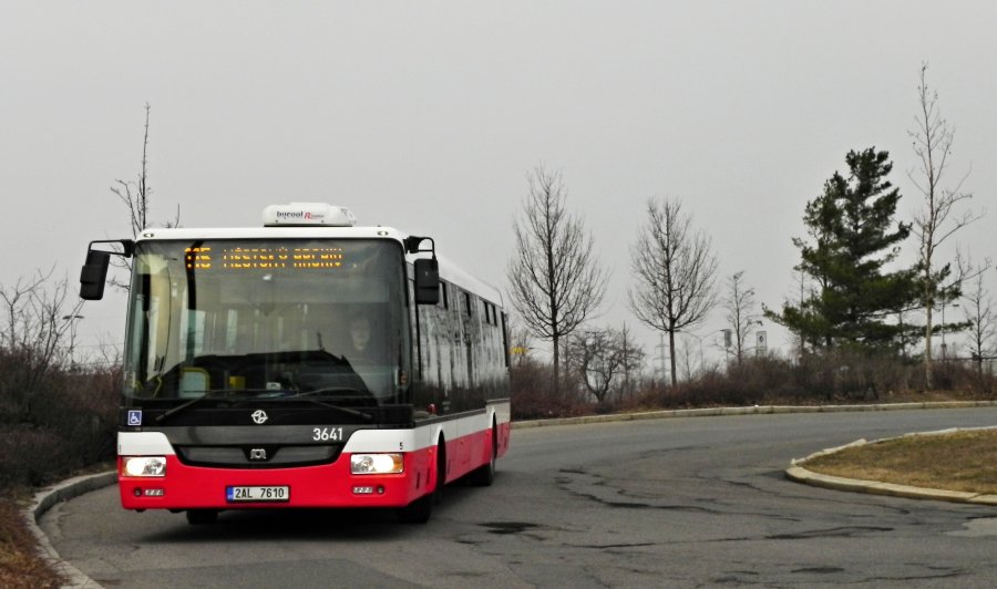 3641