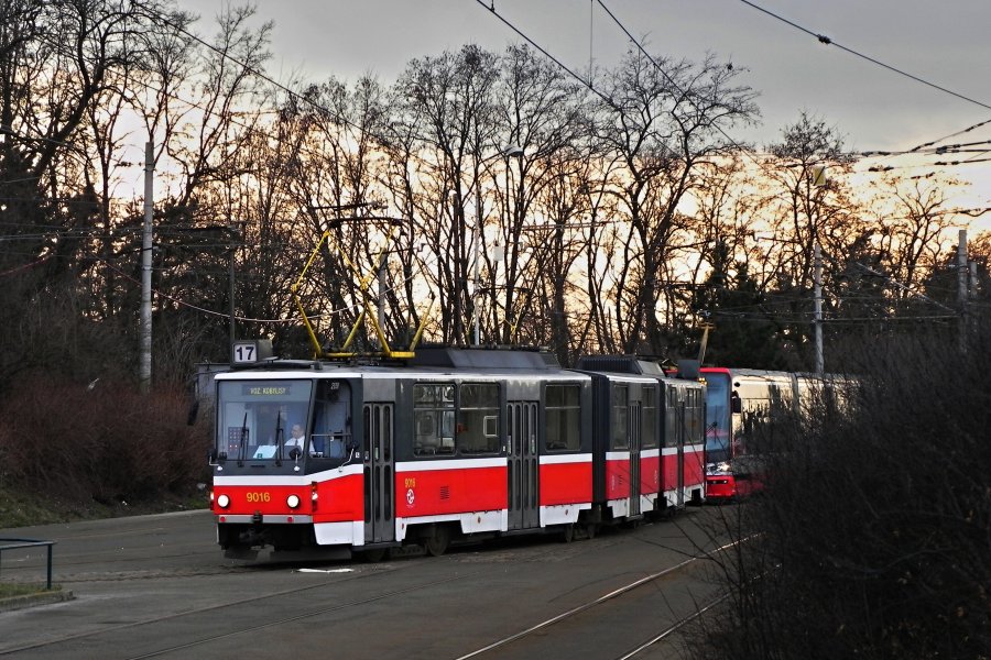 9016