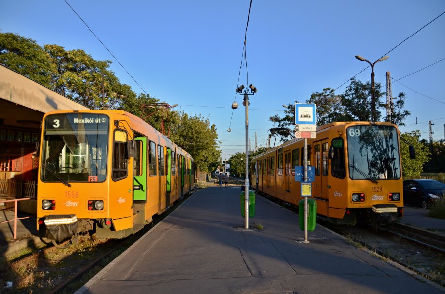 1558+1529