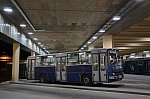 12-61