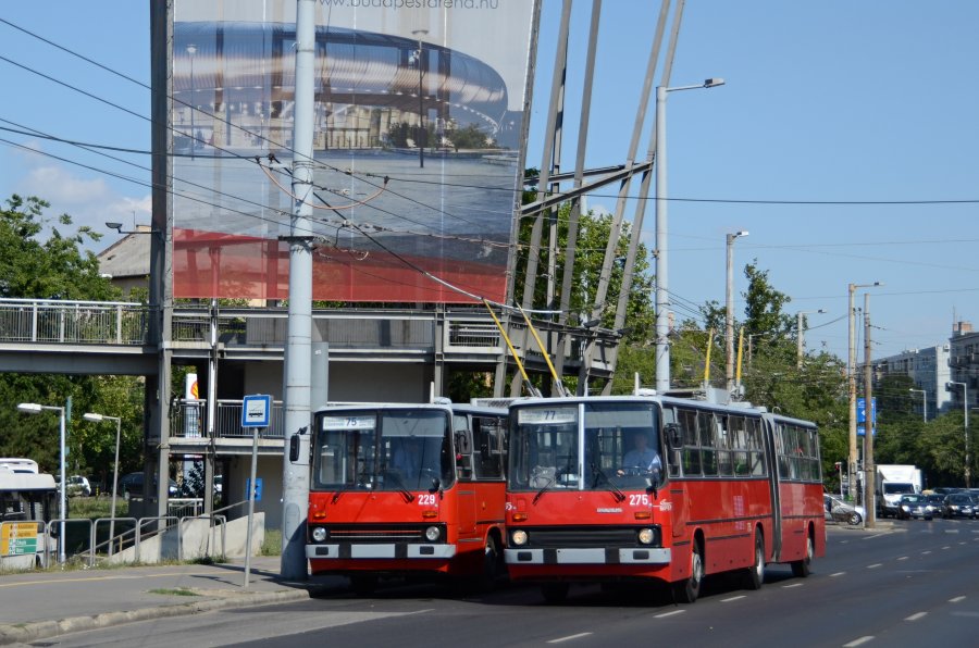 229+275