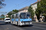 BOX-806