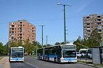 LPK-533+LPK-532