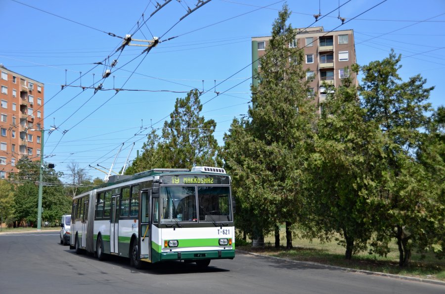T-621