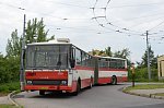 2329