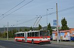 559