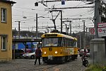224 261