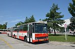 6135