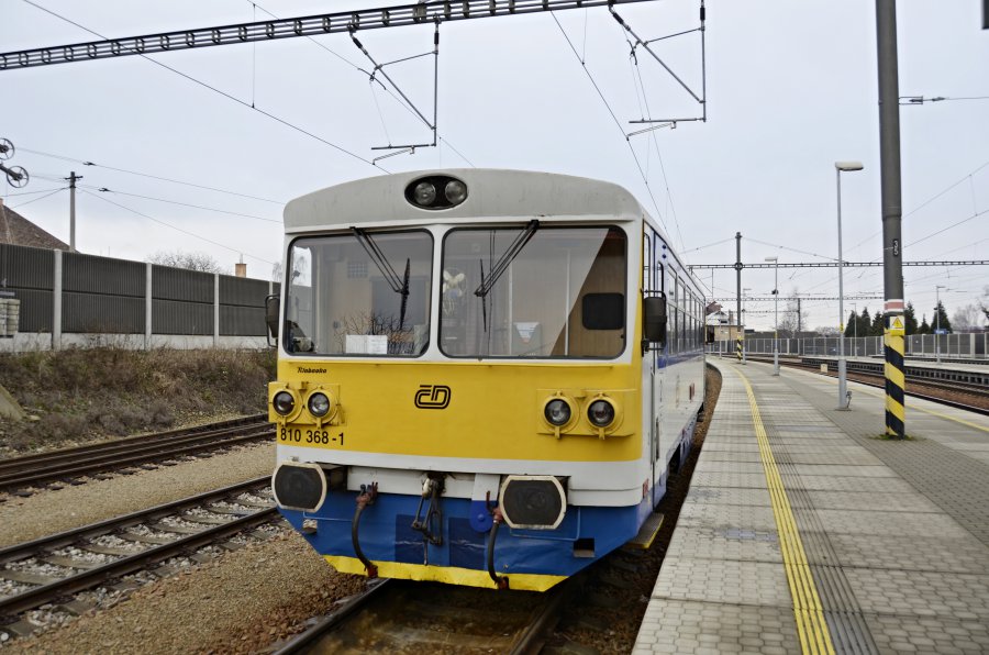 810 368-1