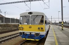 810 368-1