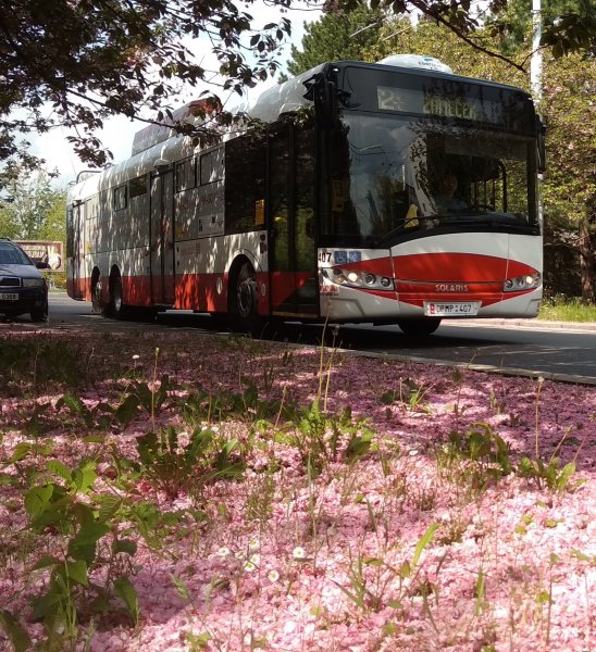 407 "JAMAGATA"