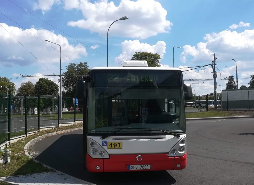 491