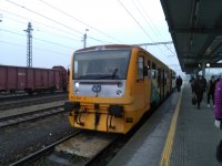 914 037-7