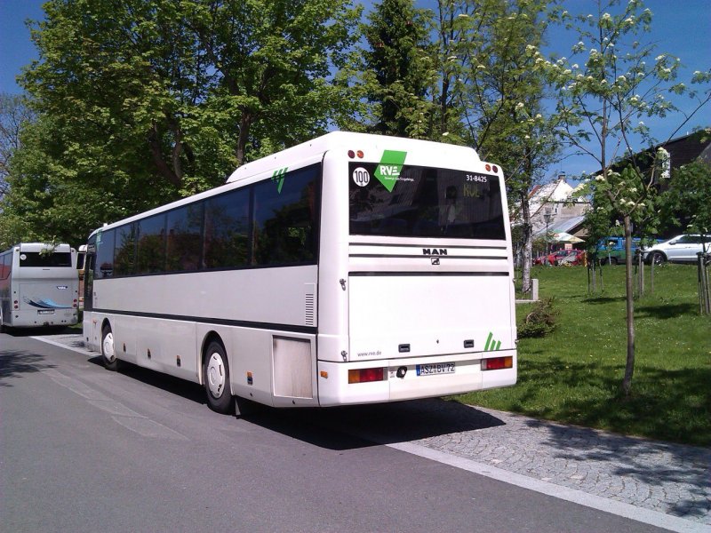 31-8425